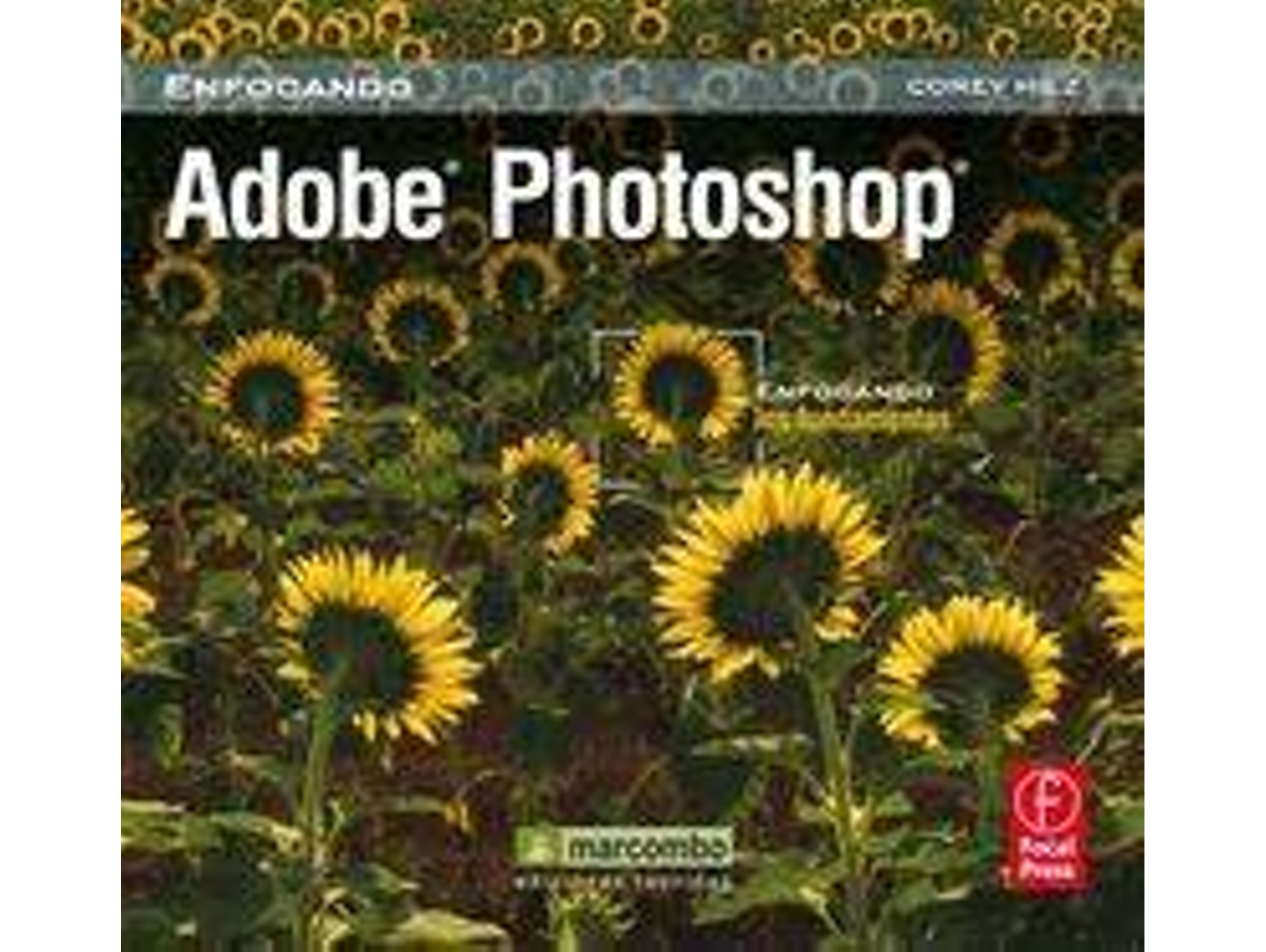 Libro Adobe Photoshop