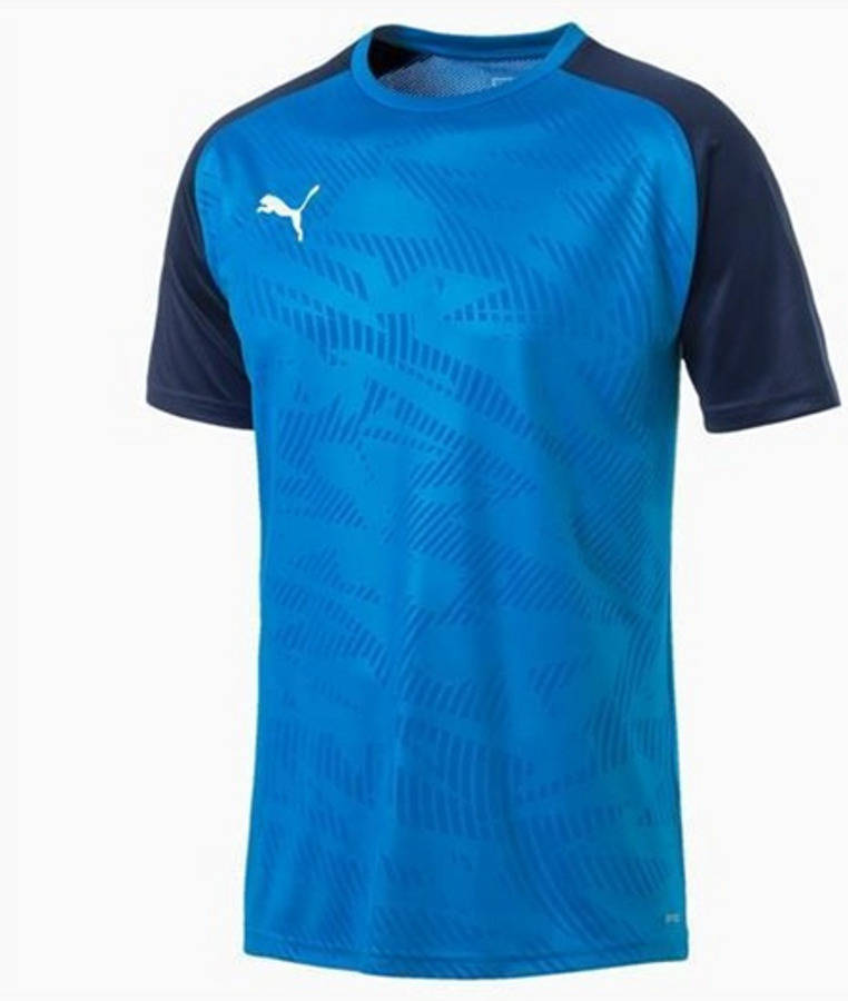 Camisetas para Hombre PUMA Cup Jersey Azul para Fútbol (XS)