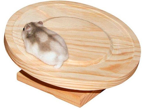 Brinquedo KERBL Roda para Hamster (Medidas: 20 cm)