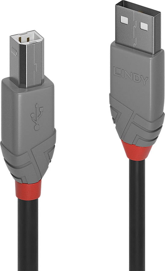 Cable USB LINDY (USB - USB)