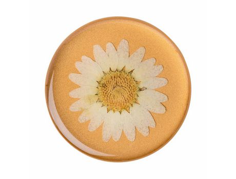 Mango para smartphone de mujer POPSOCKETS Pressed Flower Daisy POPSOCKETS