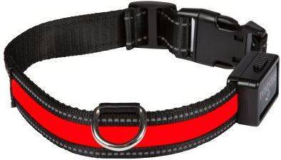 Collar para Perros NUM'AXES Usb-Luz Rojo (S)