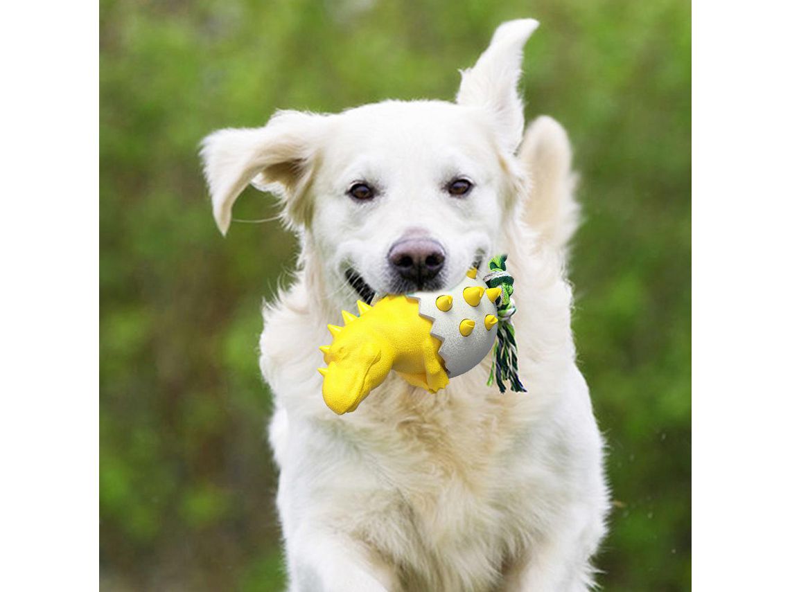 Juguetes Para Mascotas y Perros Divertidos L