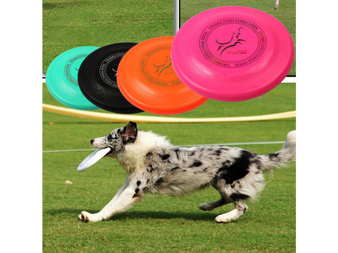 Frisbee para ejercitar a tu perro - Divine Chien