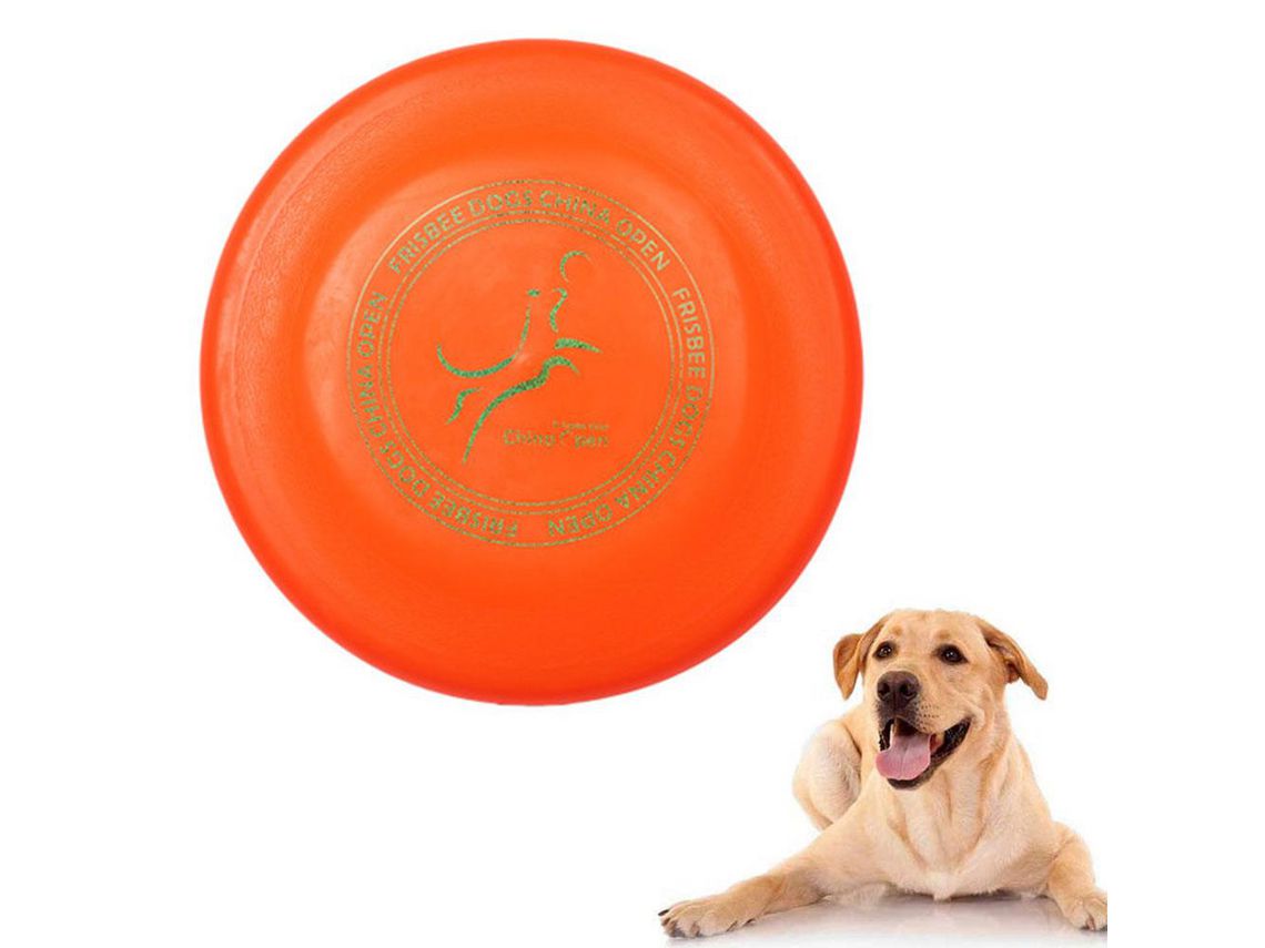 como enseñar a tu perro a jugar frisbee