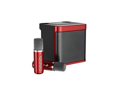 Juego de altavoces de Karaoke Bluetooth de lujo con micrófono inalámbrico para el hogar