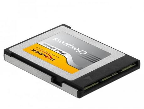 Tarjeta de memoria DELOCK (256 GB - 1550 MB/s)