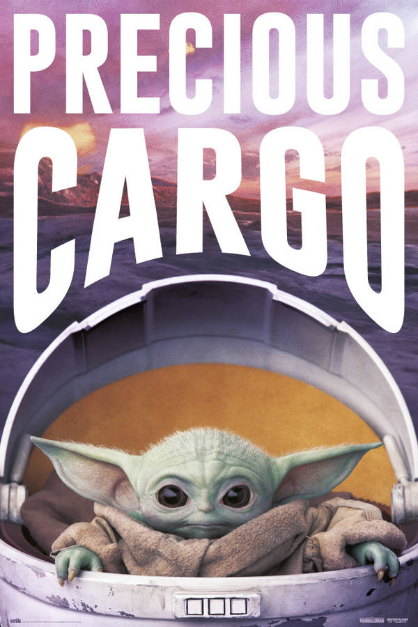 Poster STAR WARS Precious Cargo