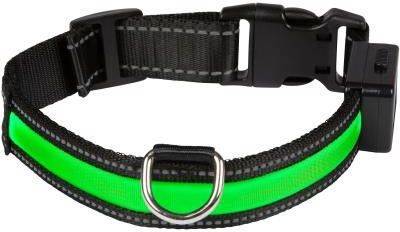 Collar para Perros EYENIMAL con Luz y Recargable (Verde - 25-38cm - Nylon - S - Porte Pequeño)