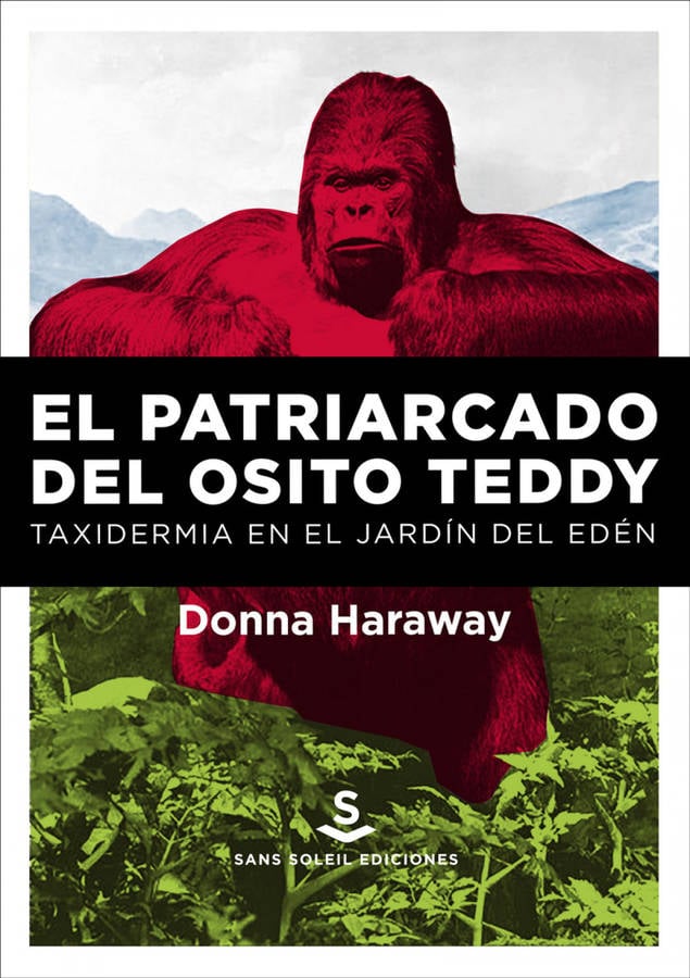 Libro El Patriarcado Del Osito Teddy (Ne) de Haraway Donna (Español)