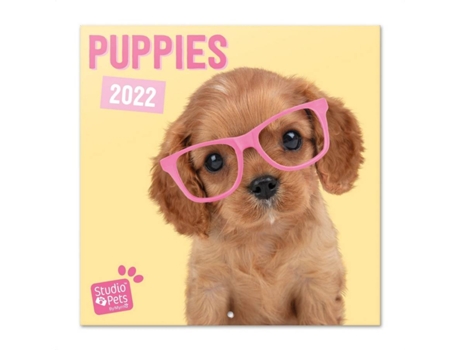 Calendario Studio Pets perros 2022 pared animales mensual producto con licencia oficial erik editores 30x30