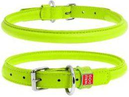 Collar para Perros COLLAR Glamour (Verde - 39-47 x 1 cm - Cuero)