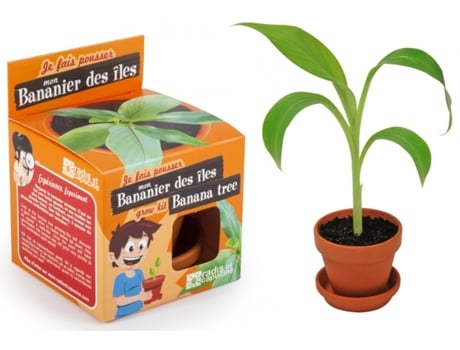 Jogo de Mesa RADIS ET CAPUCINE I Grow My Banana Tree (4 Anos)