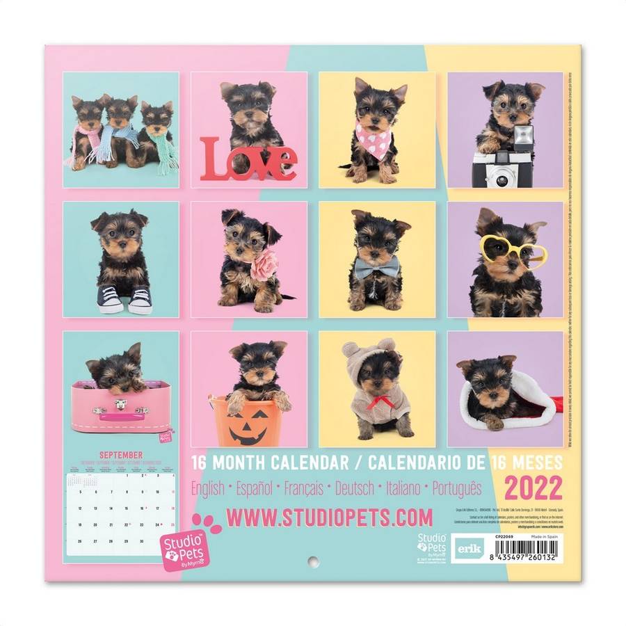 Calendario ERIK EDITORES 2022 30X30 Studio Pets Yorkie