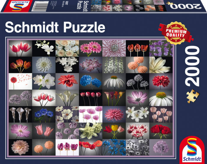 Puzzle SCHMIDT SPIELE 58297 (2000 Piezas)