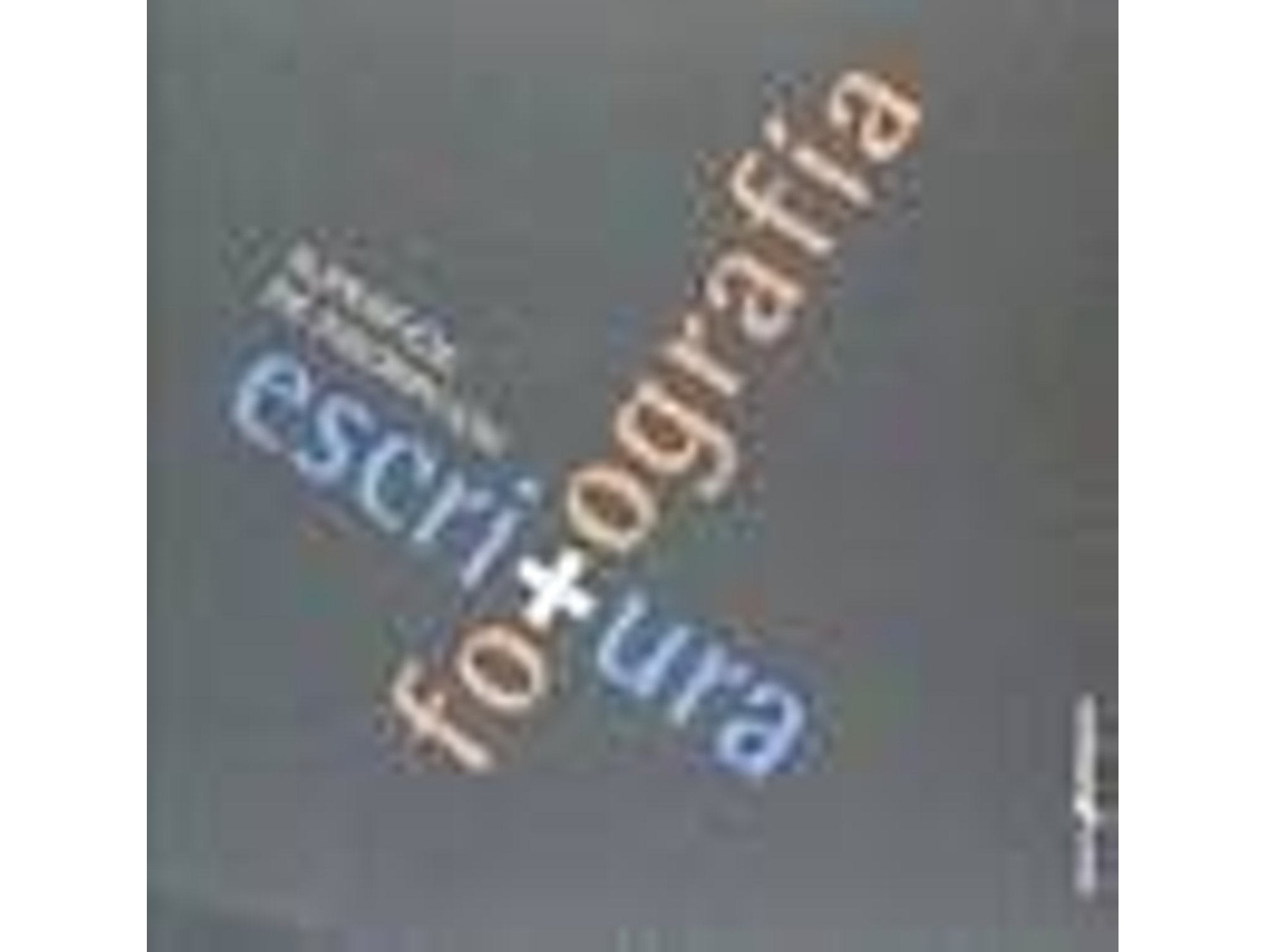 Libro Superficie De Inscripción Escritura Y Fotografa