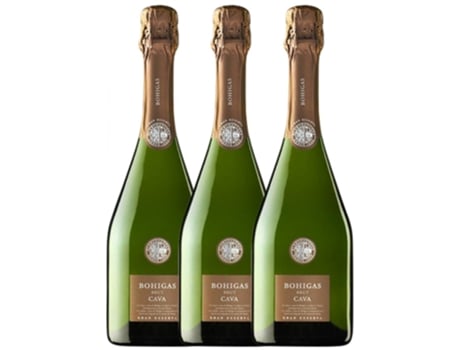 Espumante FERMÍ BOHIGAS Fermí Bohigas Extra Brut Cava Gran Reserva (0.75 L - 3 unidades)