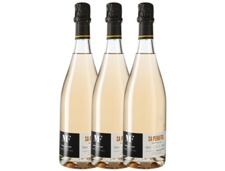 Espumante MARTÍN FAIXÓ Martín Faixó Perafita Rosat Brut Nature Cava (0.75 L - 3 unidades)