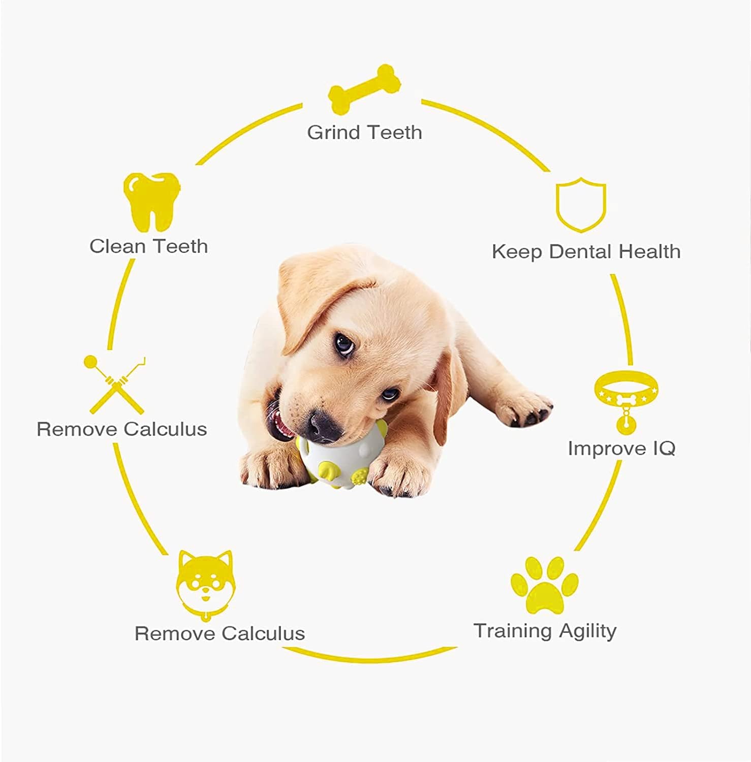 Juguete interactivo para perros, juguetes de bolas de limpieza de dientes  molares para perros, juguete para perros con cepillo de dientes esférico,  traje para perros pequeños, medianos y grandes