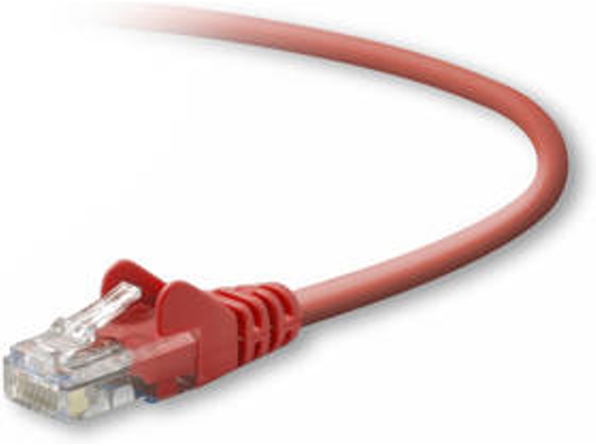 Cable de Red BELKIN (RJ45)