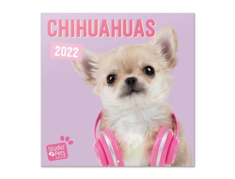 Calendario Studio Pets chihuahuas 2022 perros pared animales mensual producto con licencia oficial erik editores 30x30