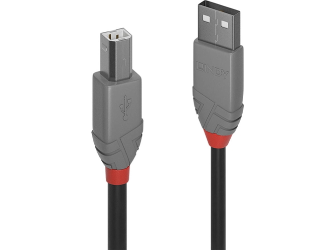 Cable USB LINDY (USB - USB)