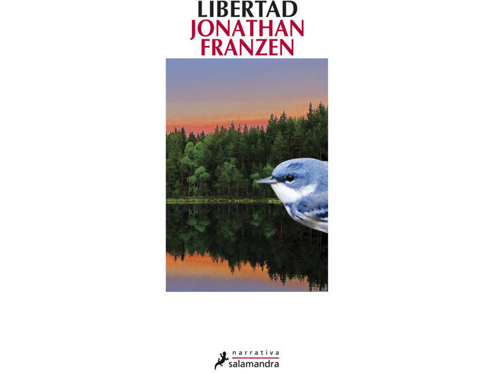 Libro Libertad de Jonathan Franzen