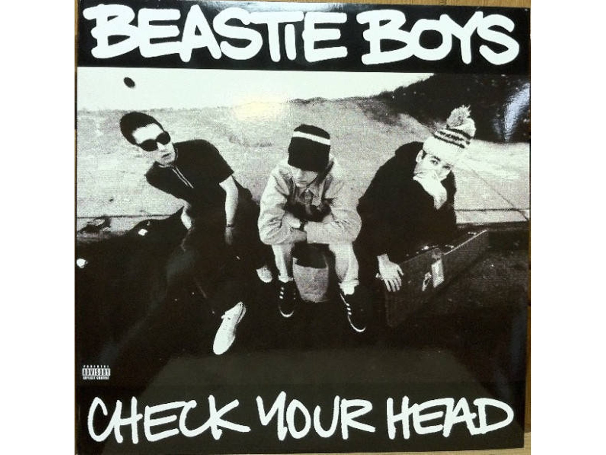 VINIL BEASTIE BOYS:CHECK YOUR HEAD(REMAS | Worten.es