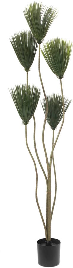 Planta Artificial Europalms papyrus 130cm – 150 palma de la mano seedling ventilador color