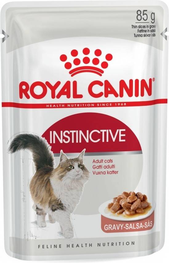 Piensos para Gatos ROYAL CANIN (12 Un - 85g - Húmedo - Adulto)