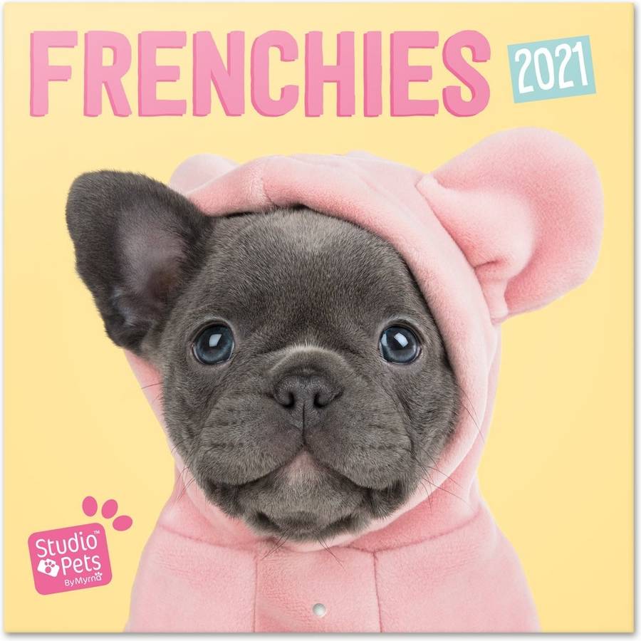 Calendario OFIURIA Studio Pets French Bulldog (2021 - 30 x 30 cm)