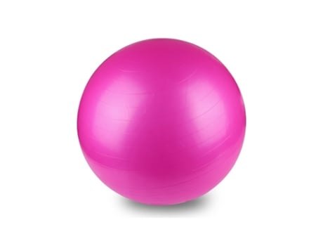 Pelota de gimnasia ONAMASTE 55 cm