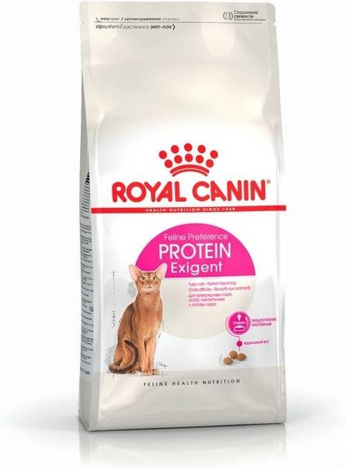 Pienso para Gatos ROYAL CANIN Exigent (400g - Seco - Adulto)