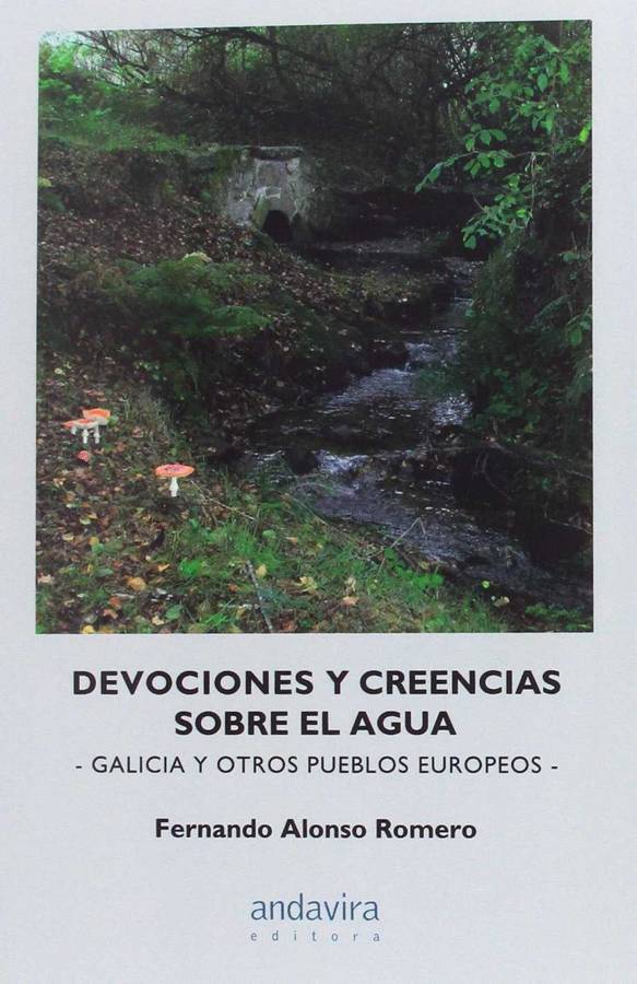 Libro Devociones Y creencias sobre el agua fernando alonso romero español