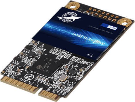 Disco SSD Interno DOGFISH mSATA Blue 120GB 3D NAND SATA (120 GB - SATA III - 6 Gb/s)