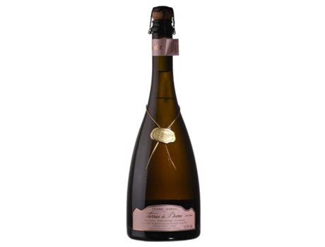 Espumante Terras do Demo Rosé Bruto 2022 (75 cl)