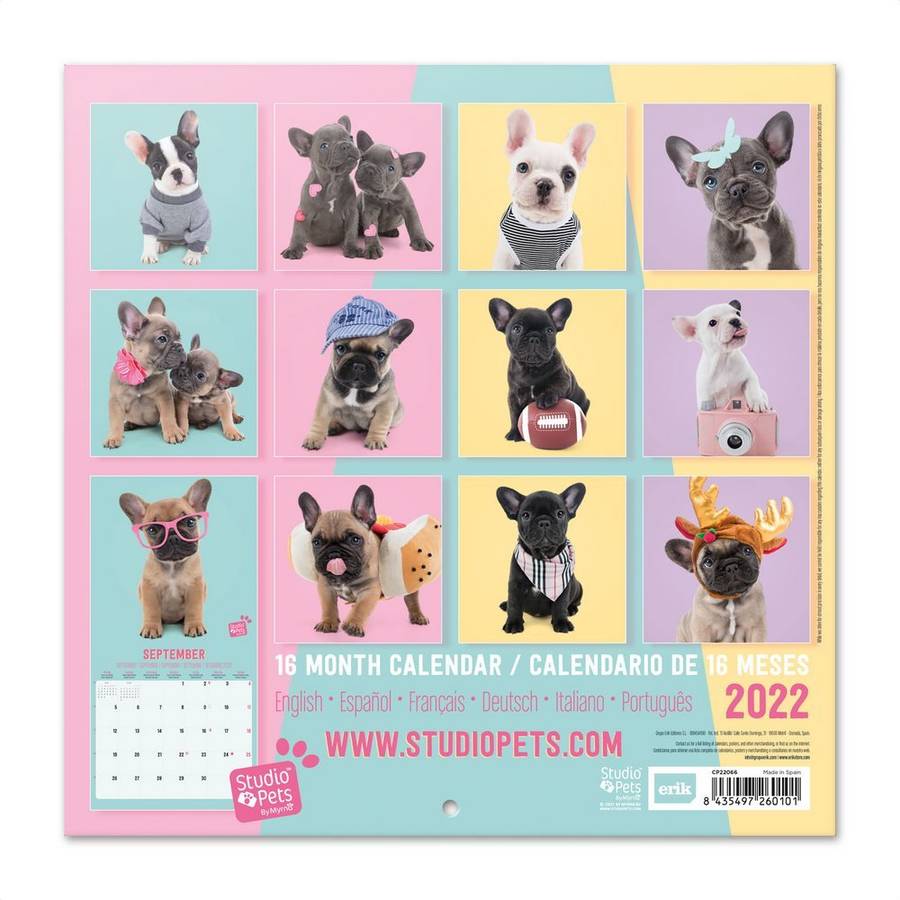 Calendario ERIK EDITORES 2022 30X30 Studio Pets French Bulldog