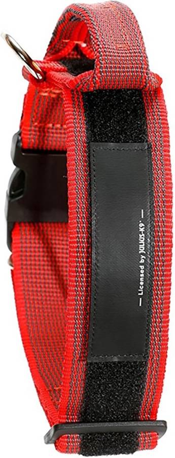 Collar para Perros JULIUS (Rojo - 38-53x4cm - M - Porte Medio)