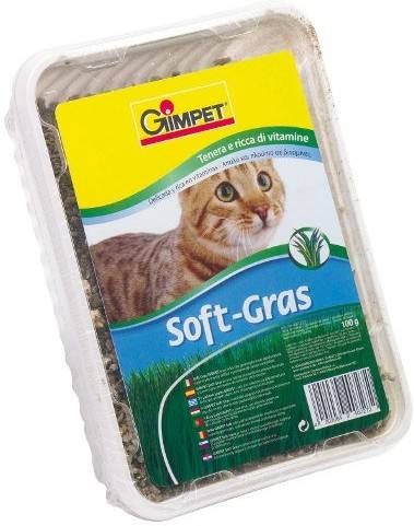 Hierba para Gatos GIMCAT Gateira (100g)