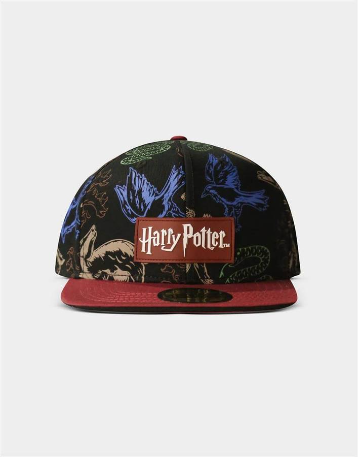 Gorra HARRY POTTER Harry Potter Símbolos Multicolor