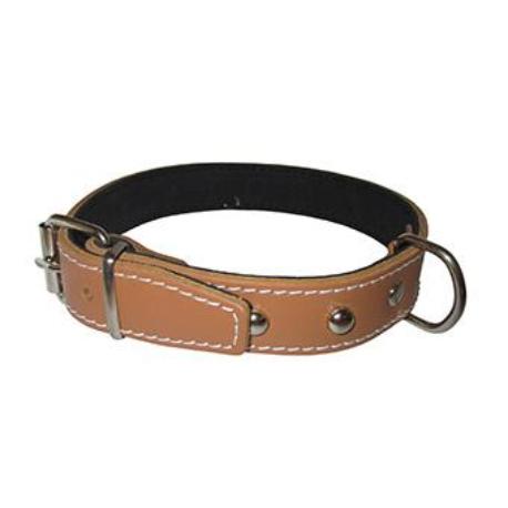 Collar Doble 3x55cm.1047 mapel 1047 reforzado de perro con remaches 55 generic tambor compatible epson dr6200 s051099 3x55cm