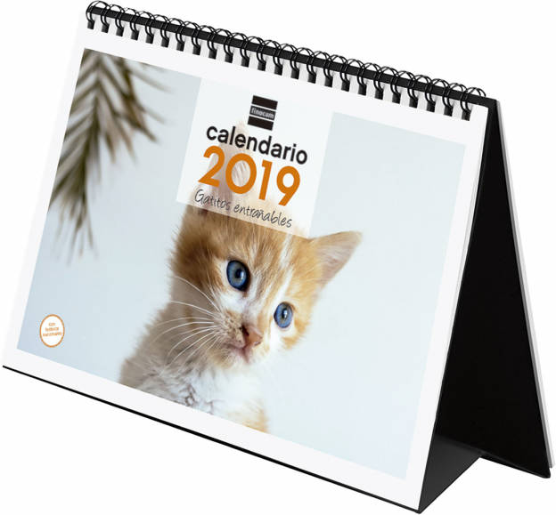 Calendario FINOCAM Gatitos 2018/2019 (15.5 x 21 x 7 cm - Vista: Mensal)