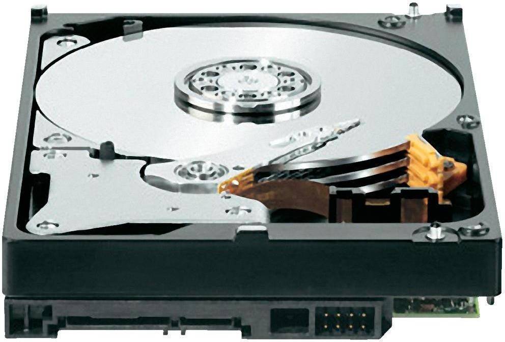 Disco HDD Interno WESTERN DIGITAL Everyday (1 TB - SATA - 7200 RPM)