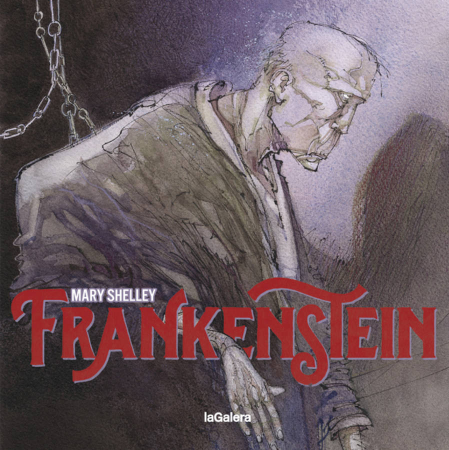 Frankenstein Tapa Blanda libro de mary wollstonecraft shelley