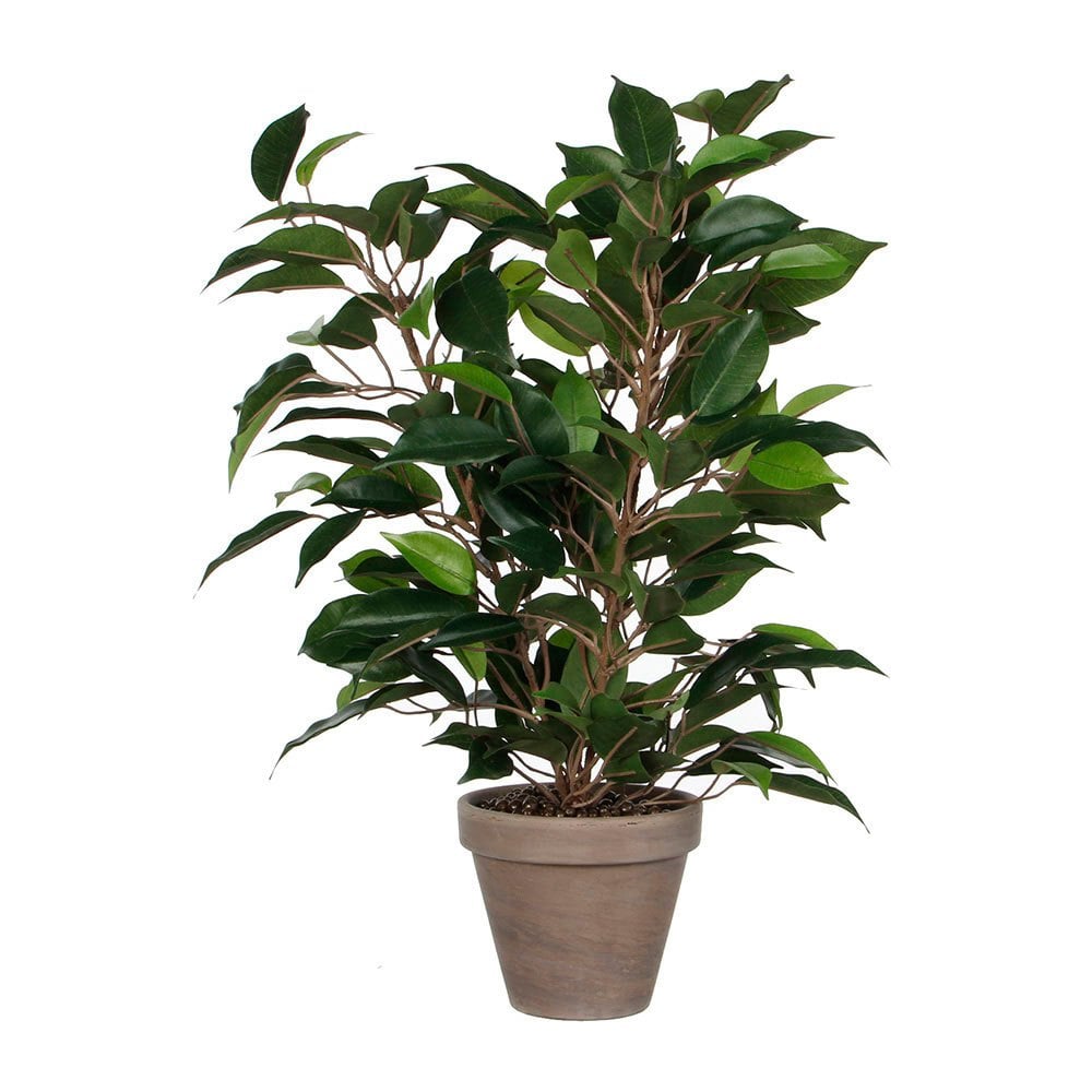 Plantas Artificiales MICA DECORATIONS Ficus natsja