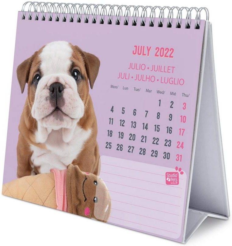 Calendario ERIK EDITORES Deluxe 2022 Studio Pets Dogs