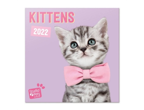 Calendario Studio Pets gatos 2022 pared animales mensual producto con licencia oficial erik editores 30x30