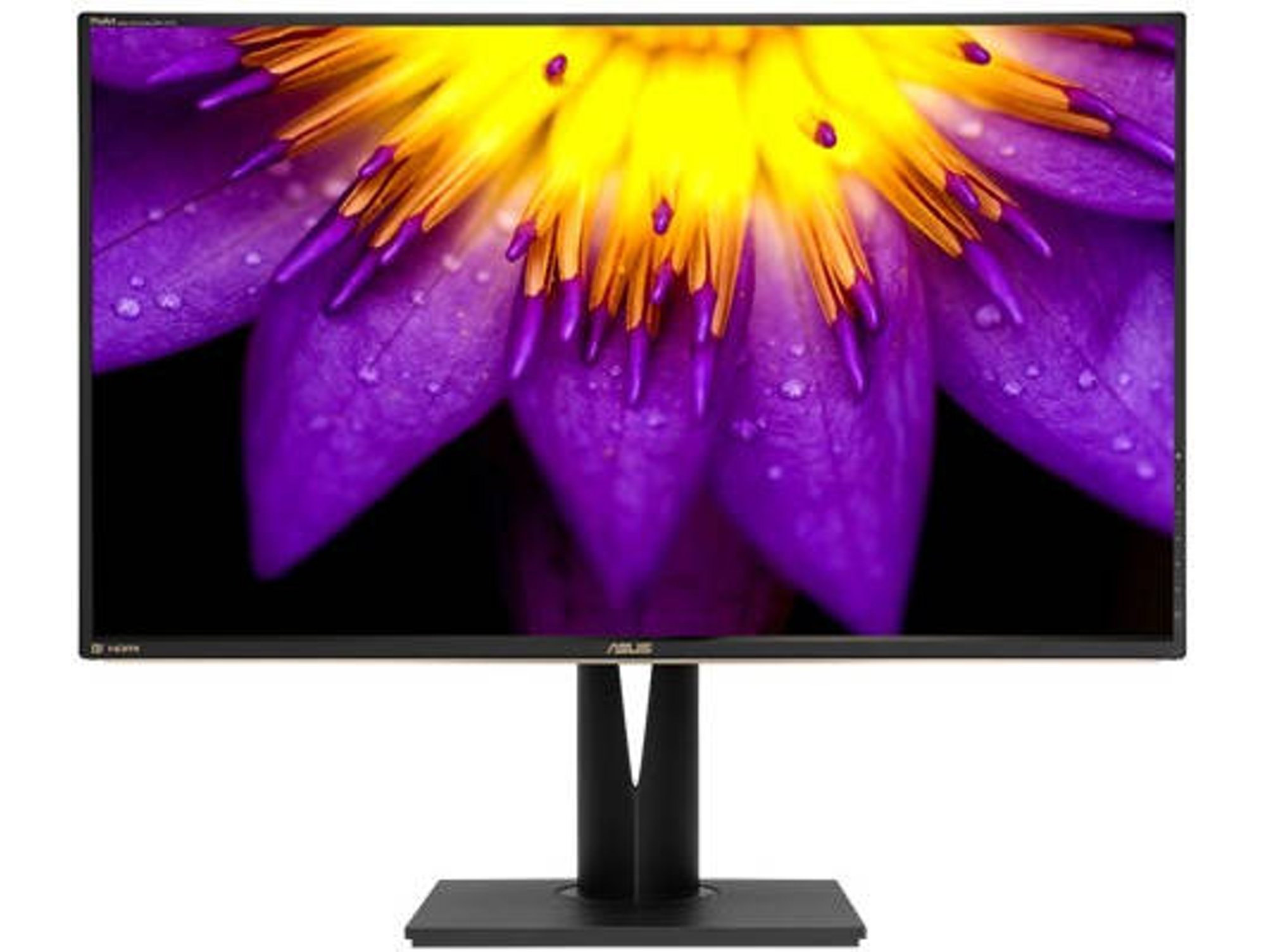 Monitor ASUS PA329Q (32'' - Ultra HD - IPS)