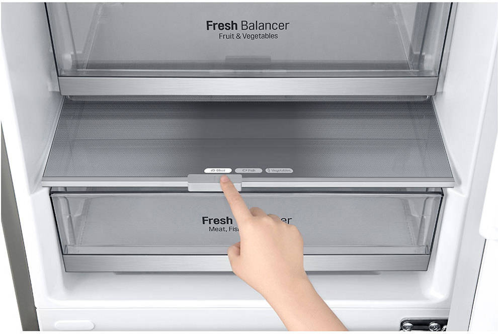 Frigorífico combi  LG GBB92STBAP, No Frost, 203 cm, 384 l, Door Cooling™,  FreshConverter™, Inox