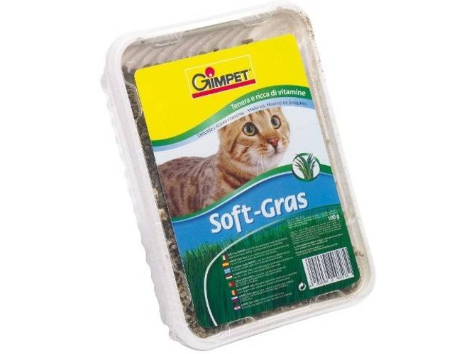 Hierba Para Gimcat gateira 100g